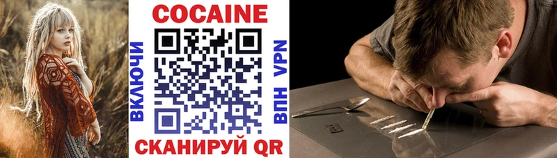 Cocaine FishScale  купить наркотик  Заволжье 