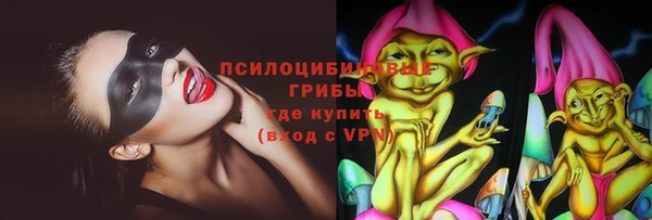 мет Алексин