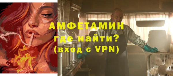 мет Алексин