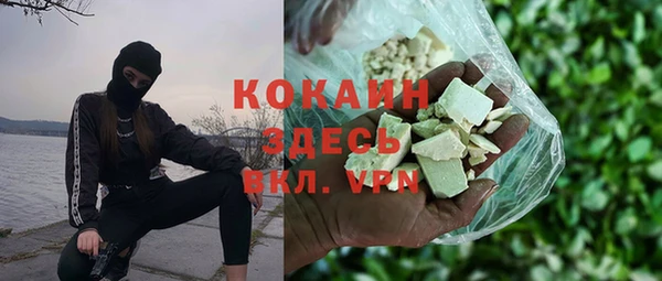 мет Алексин