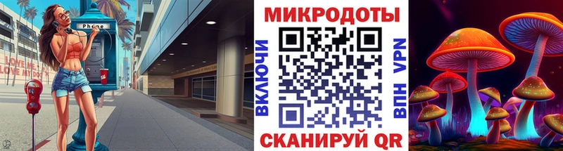 Галлюциногенные грибы Psilocybe  наркотики  Заволжье 