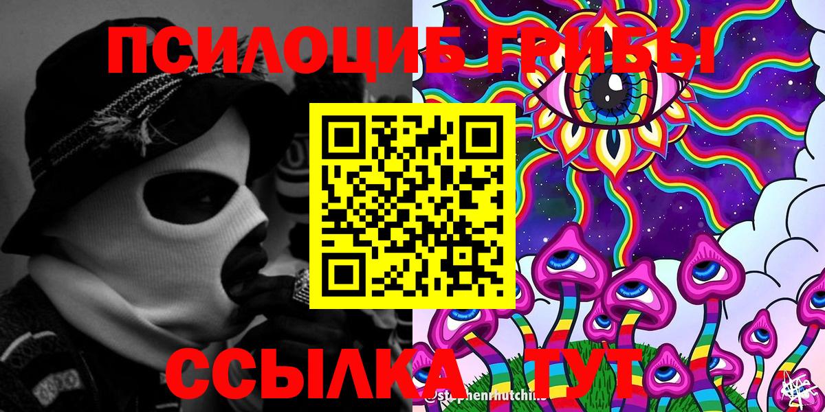 Псилоцибиновые грибы Psilocybe Заволжье