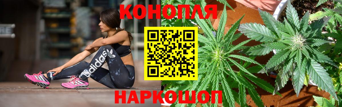 Марихуана тримм  Марихуана семена  Канабис SATIVA & INDICA  Заволжье  Конопля VHQ  Вход с VPN 